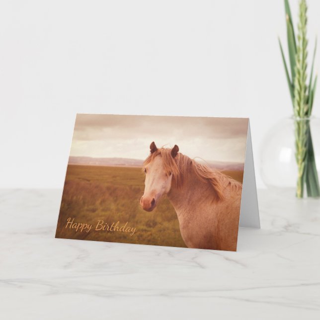 Vintage wild horse card (Front)