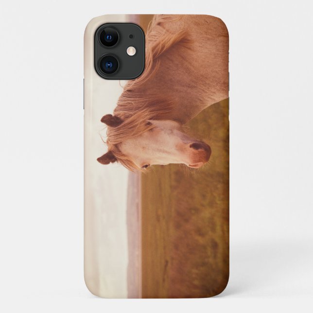 Vintage wild horse Case-Mate iPhone case (Back)