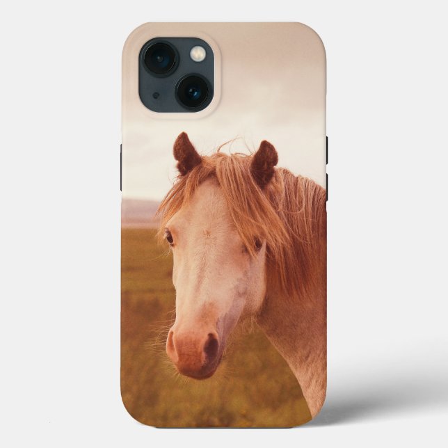 Vintage wild horse Case-Mate iPhone case (Back)