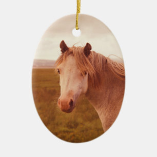 Vintage wild horse ceramic tree decoration