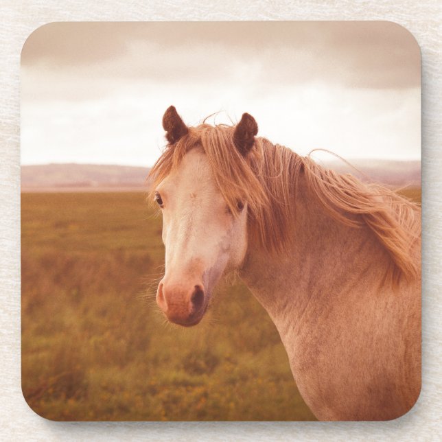 Vintage wild horse coaster (Front)