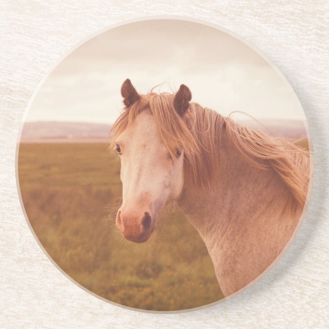 Vintage wild horse coaster (Front)