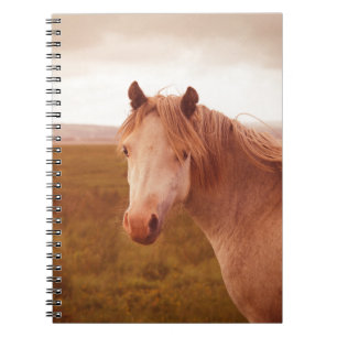 Vintage wild horse notebook