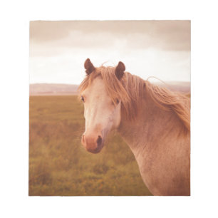 Vintage wild horse notepad