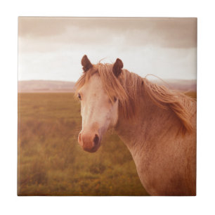 Vintage wild horse tile