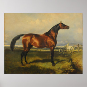 Vintage Wild Horses by Alfred de Dreux Poster