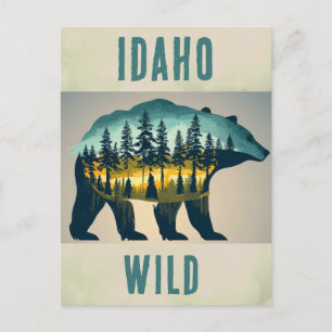 Vintage Wild Idaho Bear Travel Postcard
