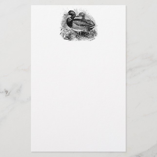 Vintage Wild Mallard Ducks Personalised Template Stationery (Front)