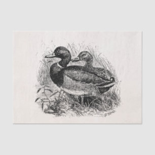 Vintage Wild Mallard Ducks Personalised Template Tissue Paper