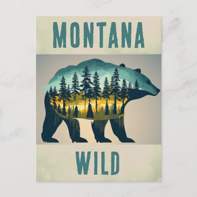 Vintage Wild Montana Bear Travel Postcard (Front)