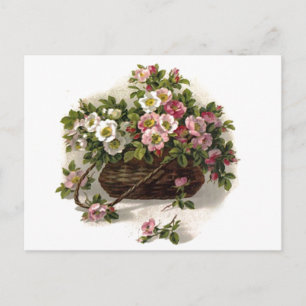 Vintage Wild Roses Basket Postcard