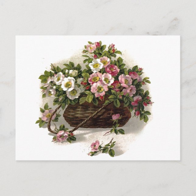 Vintage Wild Roses Basket Postcard (Front)