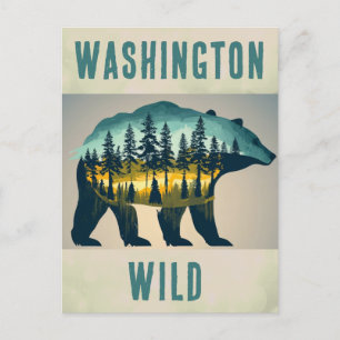 Vintage Wild Washington Bear Travel Postcard