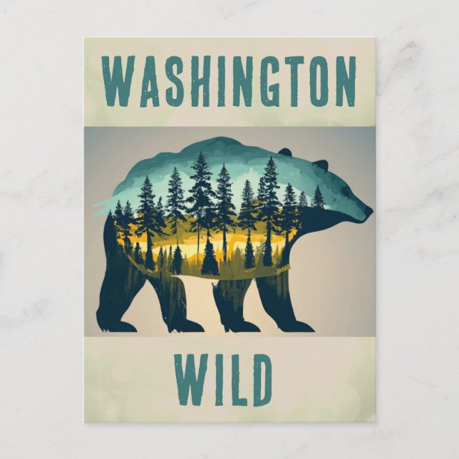 Vintage Wild Washington Bear Travel Postcard (Front)