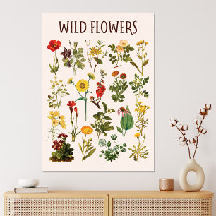 Vintage Wildflower Chart Canvas Print