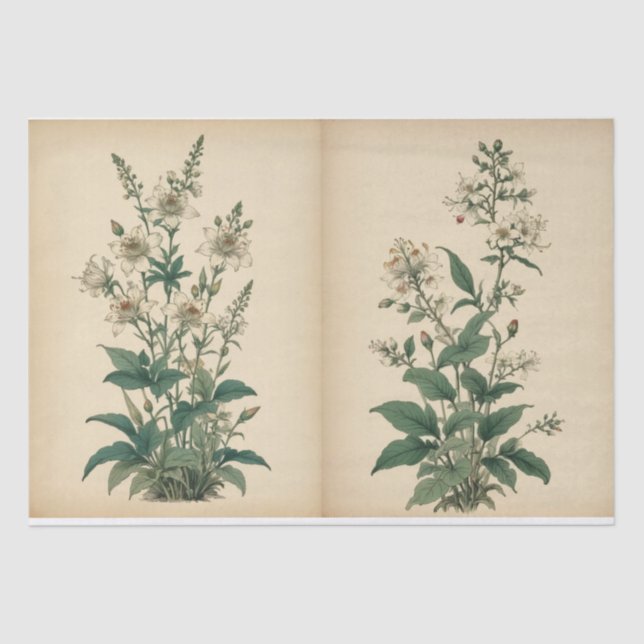 Vintage Wildflowers Print Tissue Paper (Front)