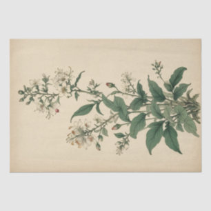 Vintage Wildflowers Print Tissue Paper