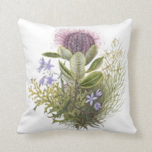Vintage Wildflowers Thistle Pillows