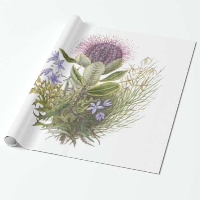 Vintage Wildflowers Thistle Wrapping Paper (Unrolled)
