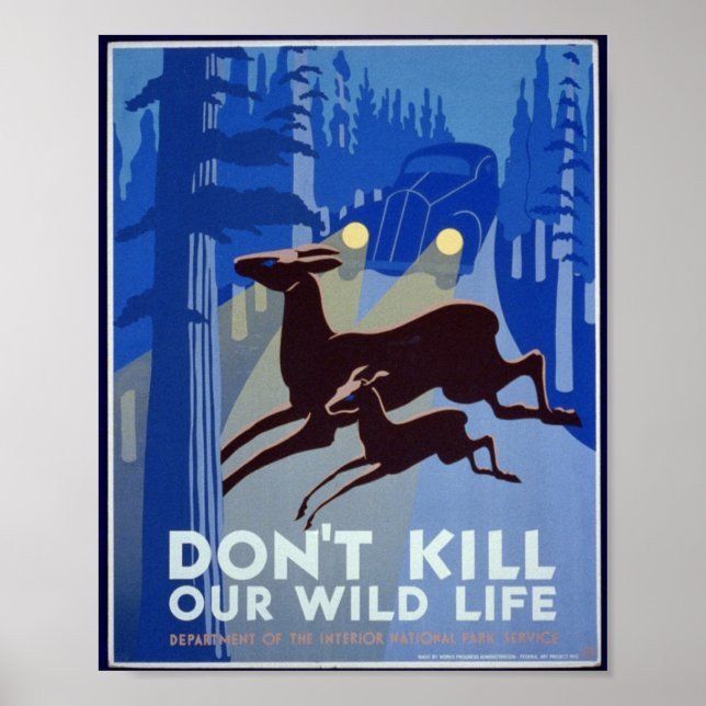 Vintage Wildlife Conservation Poster (Front)