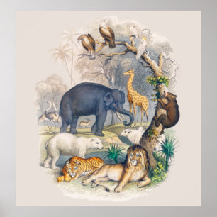 Vintage Wildlife in Nature Art Poster