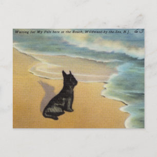 Vintage Wildwood-by-the-Sea, New Jersey Postcard