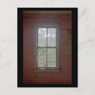 Vintage Window in Pink Postcard