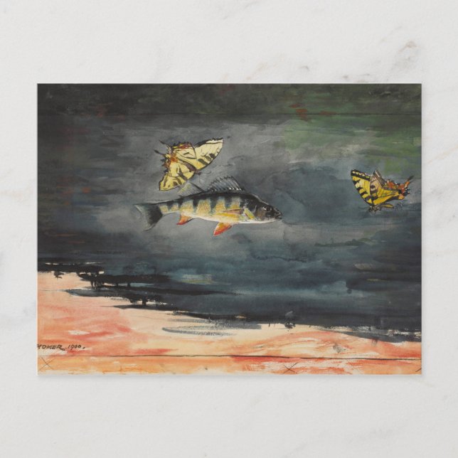 Vintage Winslow Homer Fish and Butterflies Postcard (Front)