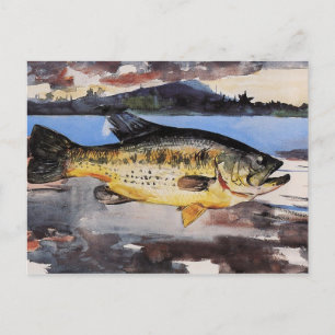 Vintage Winslow Homer Watercolor Bass Postcard