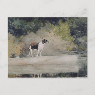 Vintage Winslow Homer Watercolor Dog on a Log Postcard