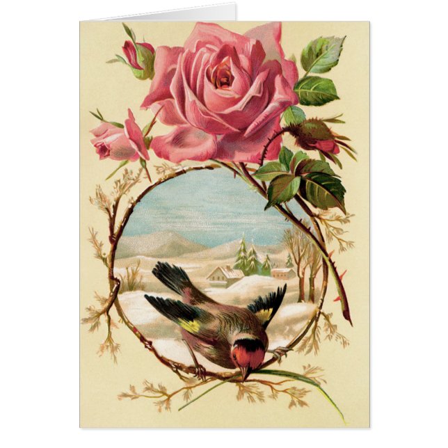 Vintage - Winter Bird and Rose, (Front)