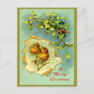 Vintage Winter Birds Christmas Postcard