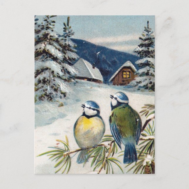 Vintage Winter Birds Postcard (Front)