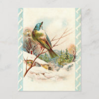 Vintage Winter Blue bird