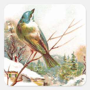 Vintage Winter Blue bird Square Sticker