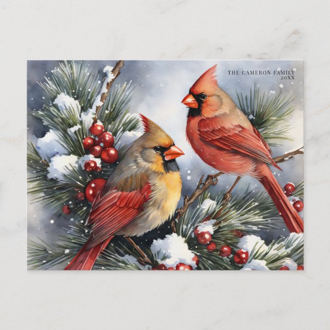 Vintage Winter Cardinal Birds Snowy Christmas Holiday Postcard (Front)