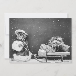 Vintage Winter Christmas Santa Cat with Sleigh Holiday Card