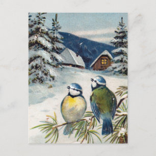 Vintage Winter Postcard With Birds