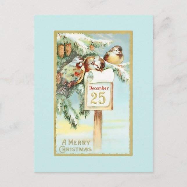 Vintage Winter Scene of Birds in Trees Postcard (Front)