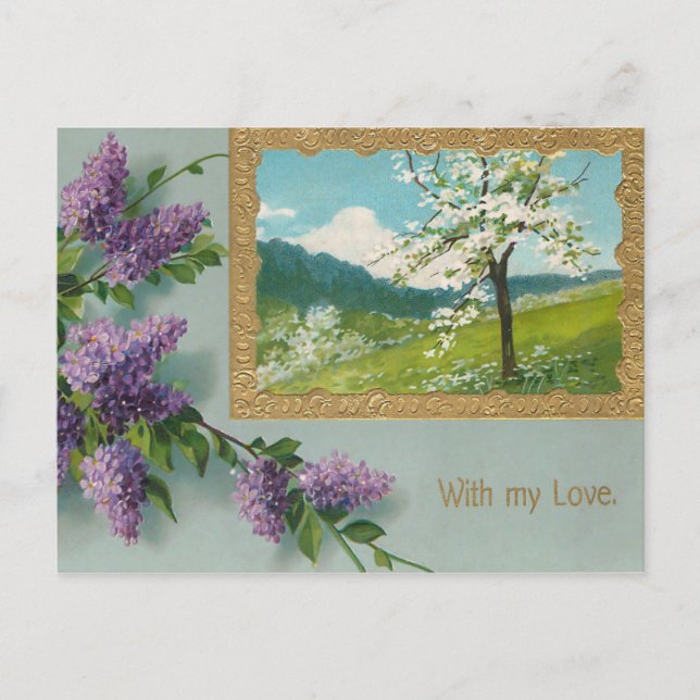 Vintage Wisteria Valentine Holiday Postcard (Front)