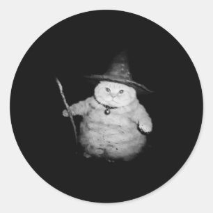 Vintage Wizard Cat Weird Funny Halloween Cat Meme Classic Round Sticker