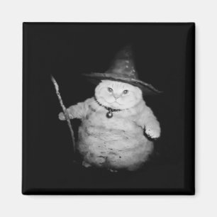 Vintage Wizard Cat Weird Funny Halloween Cat Meme Magnet