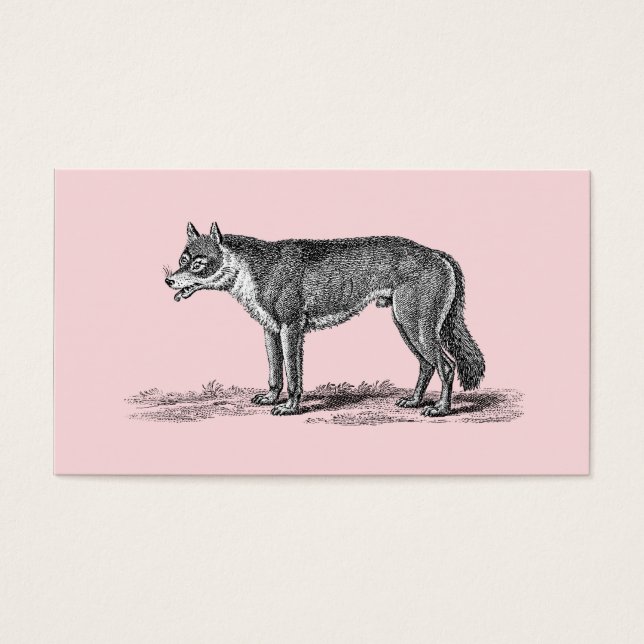 Vintage Wolf Illustration - 1800's Wolves Template (Front)