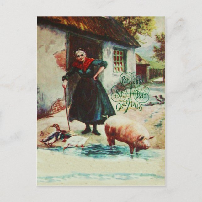 Vintage Woman Pig Ducks St Patrick's Day Card (Front)