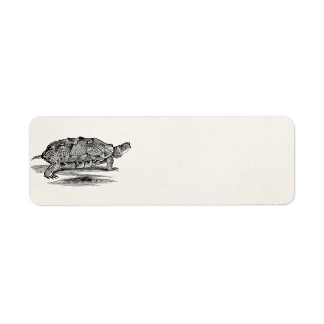 Vintage Wood Terrapin Turtle Template Blank (Front)