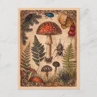 Vintage Woodland Toadstool Ferns Beetles