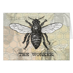 Vintage Worker Bee Illustration Art
