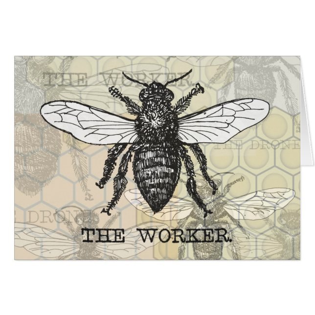 Vintage Worker Bee Illustration Art (Front Horizontal)
