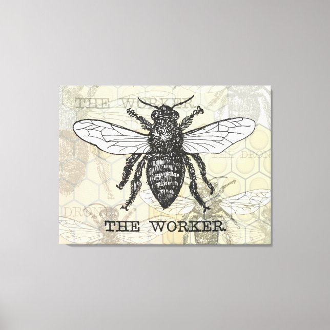 Vintage Worker Bee Illustration Art Canvas Print (Front)