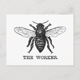 Vintage Worker Bee Illustration Art Postcard